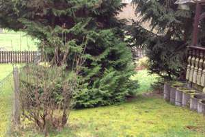 Zwei separate Häuser – Aarstr. 18, 65326 Aarbergen – Vorschaubild 5