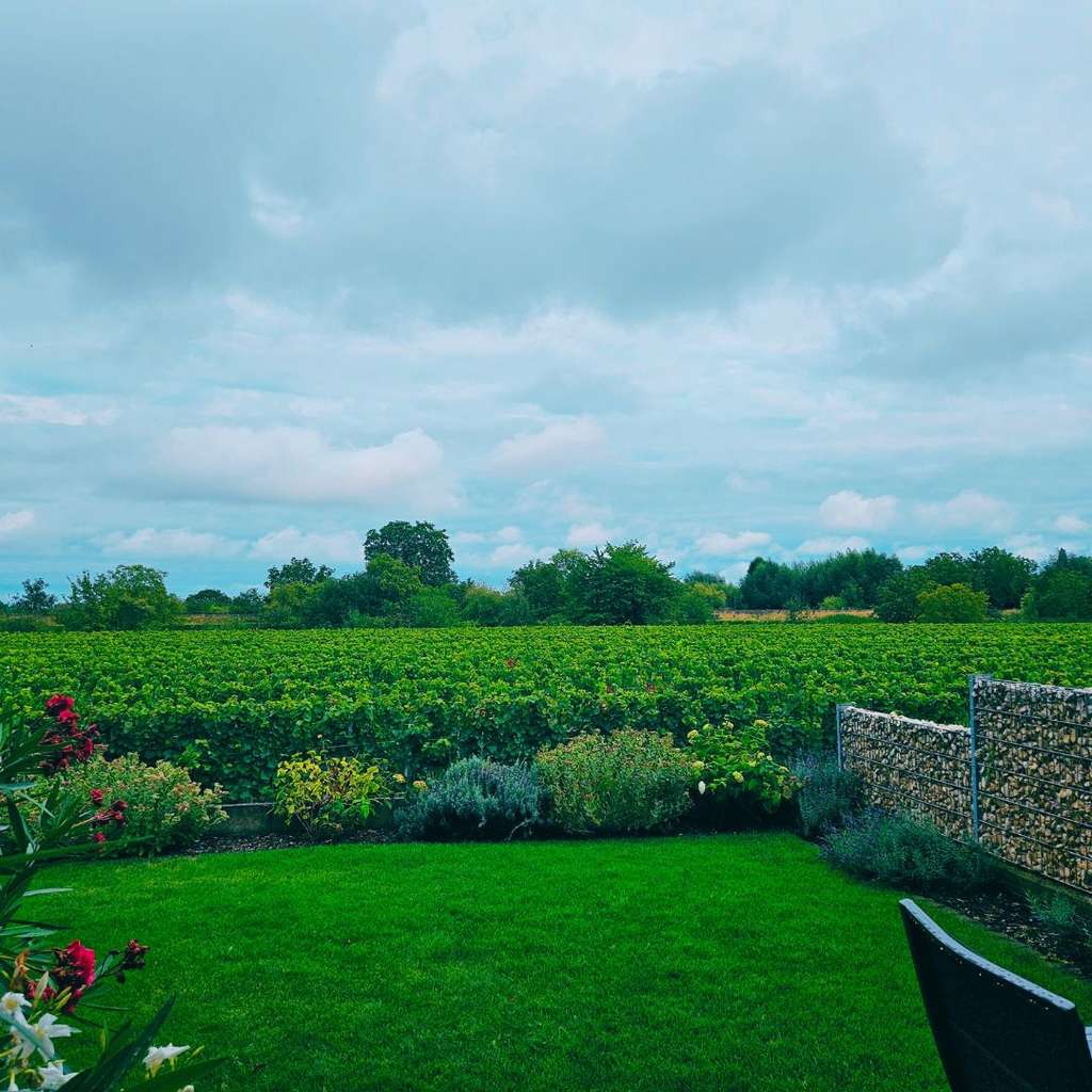 Immobilie in Edesheim - Familien-Idylle am Rebenmeer: Lichtdurchflutete DHH mit Traumblick in Edesheim - Bild 1