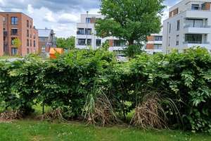 Großzügige Erdgeschosswohnung mit Garten im Neubau – Quebecallee 23, 49090 Atter, Osnabrück – Vorschaubild 9