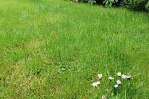 Property thumbnail 59