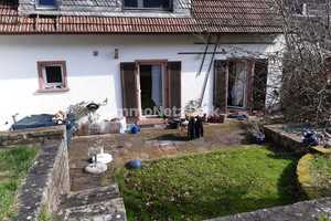 Vermietet, gepflegt, naturnah! Harmonisches Zweifamilienhaus in bester Lage. – Bad Dürkheim (Kreis) – Vorschaubild 18