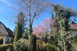  1,5 Zimmer mit Garten  in München Solln – Wilbrechtstr. 57 a, 81477 Solln, München – Vorschaubild 14