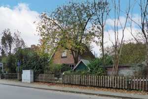 Plöner See in   "Ruf-Weite" – Plön (Kreis) – Vorschaubild 3
