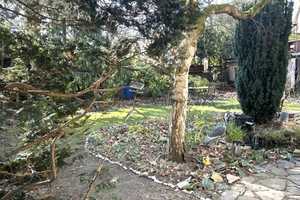 Freistehendes Einfamilienhaus mit Carport und schönem Garten in Duisburg-Homberg – Duisburg – Vorschaubild 9
