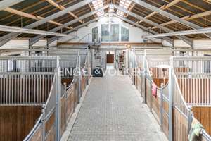 Exklusives Wohnhaus mit Reitanlage, Reithalle & PV-Anlage – Wohnen & Pferdehaltung vereint – Die vollständige Adresse der Immobilie erhältst du vom Anbieter., 49779 Oberlangen – Vorschaubild 3
