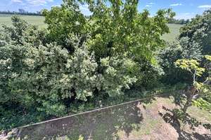 IHR SCHLÜSSEL ZUM EIGENHEIM – 67071 Oppau, Ludwigshafen am Rhein – Vorschaubild 15