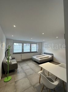 Kernsaniertes Apartment mit Tiefgaragenstellplatz in zentraler Lage von Ludwigshafen