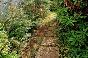 Total zentral und im Grünen: Wohnung im Musikerviertel ° Klusstraße – 33604 Mitte, Bielefeld – Vorschaubild 9
