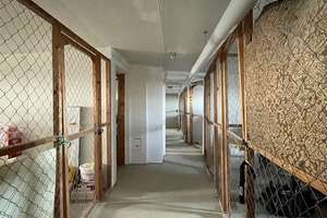 Vermietete 2-Zimmer-Wohnung mit EBK, Balkon, Aufzug und Bodenkammer // Kiel-Dietrichsdorf – Braunsberger Weg 10, 24149 Neumühlen-Dietrichsdorf, Kiel – Vorschaubild 15