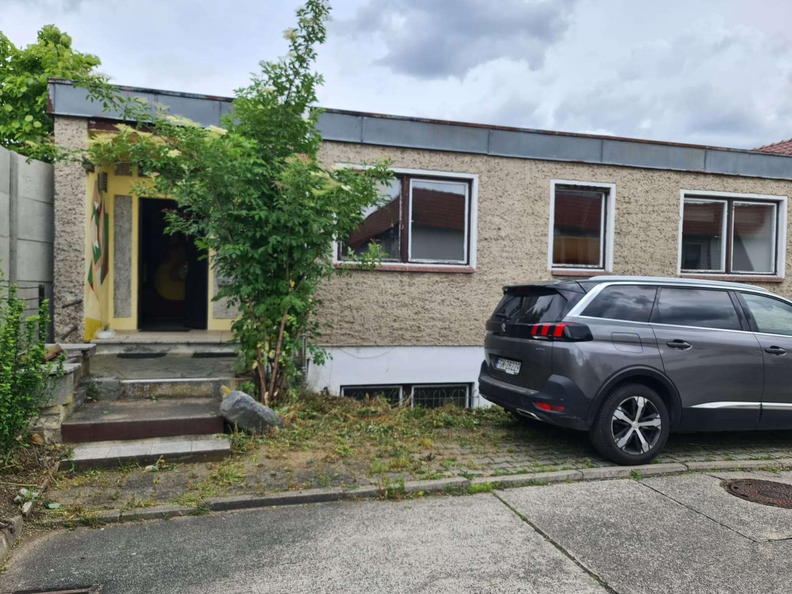 Erwecken Sie das Haus aus seinem Dornröschenschlaf +++, Frankfurt Oder – Bild 1