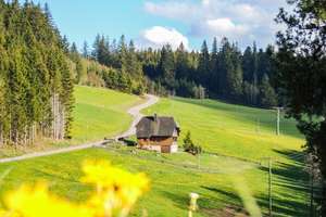 Rückzugsort im Schwarzwald: Charmantes Schwarzwaldhaus in Alleinlage mit 1.482 m² Naturgrundstück – Die vollständige Adresse der Immobilie erhältst du vom Anbieter., 79822 Titisee-Neustadt – Vorschaubild 2