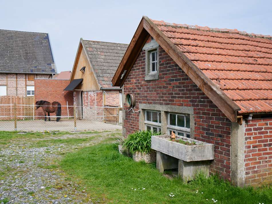 Außengelände mit Paddock