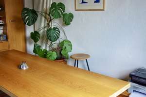 Charmante 3-Zimmer-Altbauwohnung im Hummelsteiner Weg – provisionsfrei – Die vollständige Adresse der Immobilie erhältst du vom Anbieter., 90459 Galgenhof, Nürnberg – Vorschaubild 10