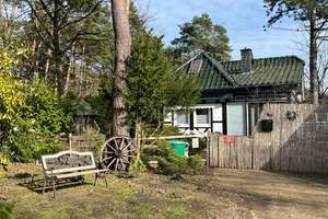 Lichtdurchflutetes 2-Zimmer-Einfamilienhaus in ruhiger Lage mit großem Grundstück – Im Holze 28, 29690 Lindwedel – Vorschaubild 3