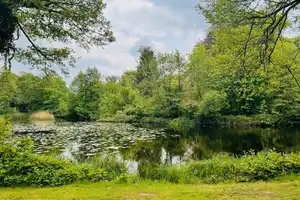 Das Haus am See... Ebenerdig wohnen mit traumhaftem Seeblick – Rotenburg (Wümme) (Kreis) – Vorschaubild 7