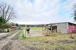 *** reserviert *** immo-schramm.de: Gepflegte Hofstelle: gr. 1-2-FH plus App., Nebengebäude, – Rotenburg (Wümme) (Kreis) – Vorschaubild 6