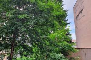 Sanierte 4 Zimmer Wohnung in zentraler Lage mit Balkon – Die vollständige Adresse der Immobilie erhältst du vom Anbieter., 90443 Steinbühl, Nürnberg – Vorschaubild 13