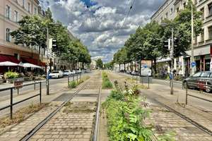 ++ 40er KfW- über den Dächern der Südvorstadt mit großem Dachgarten - mit Förderung zum Eigentum ++