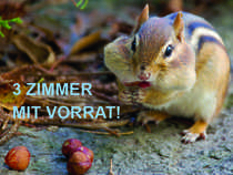 Traunstein (Kreis), ... - Eigentumswohnungen, 3-Zimmer