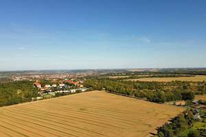 Großzügiges Einfamilienhaus in Naumburg mit Kamin I Weitblick ins Grüne I Mehrgenerationswohnen – Die vollständige Adresse der Immobilie erhältst du vom Anbieter., 6618 Naumburg (Saale) – Vorschaubild 17