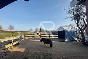 Pferdeliebhaber aufgepasst! Einfamilienhaus "PLUS" in Wassenberg-Steinkirchen! – Die vollständige Adresse der Immobilie erhältst du vom Anbieter., 41849 Wassenberg – Vorschaubild 1