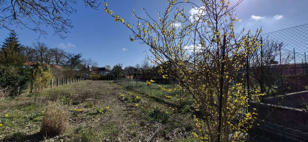 Immobilie in Dannenberg - Stadtnahes Wohnen auf großem Grundstück - Viel Platz für Ihre Ideen - Bild 1