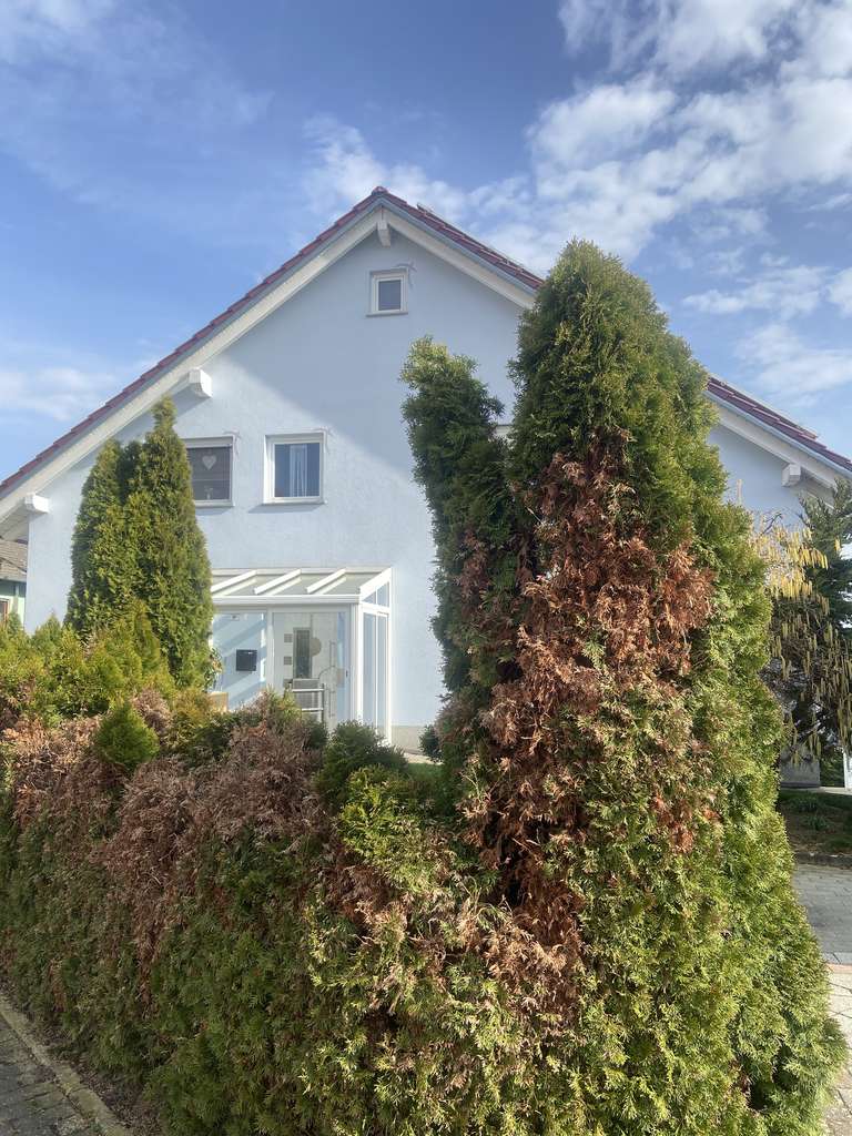 Immobilie in Großrinderfeld - Wunderschönes 2-Familienhaus mit Garten, Balkon und Doppelgarage - Bild 0