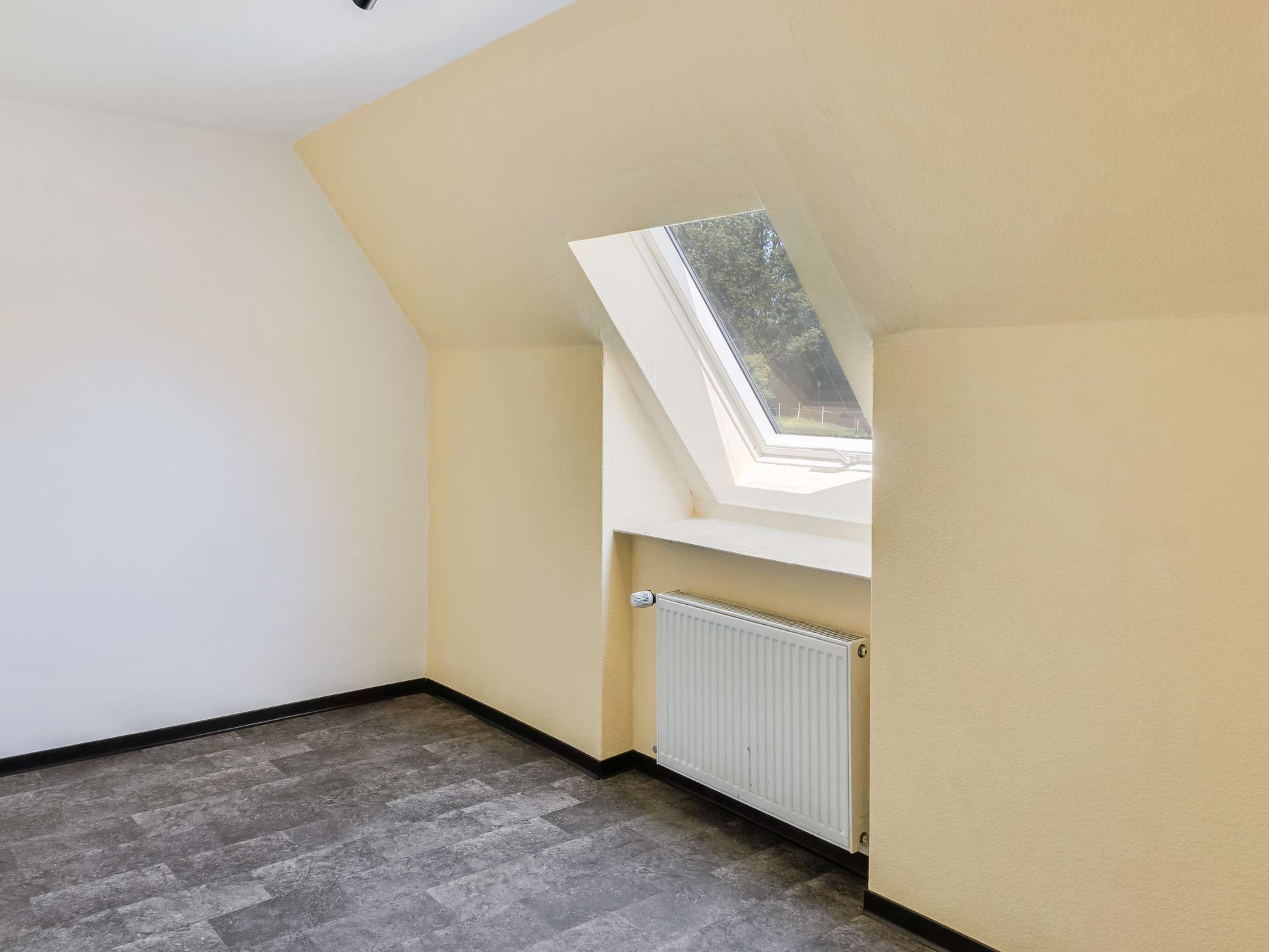 Immobilie in Holzdorf - Viel Platz für alle! Einfamilienhaus mit Einliegerwohnung in idyllischer Feldrandlage - Bild 1