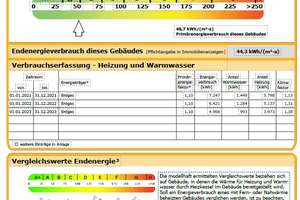 Geräumiges und neuwertiges  Reihenmittelhaus in Riedstadt-Erfelden im Grünen am Altrhein  – Die vollständige Adresse der Immobilie erhältst du vom Anbieter., 64560 Riedstadt – Vorschaubild 19