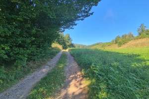 Wohnsitzunikat im Harzvorland
 – Die vollständige Adresse der Immobilie erhältst du vom Anbieter., 6343 Mansfeld – Vorschaubild 12