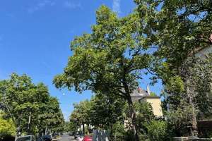 Eine besonders schöne Wohnlage + charmante Altbauvilla – Die vollständige Adresse der Immobilie erhältst du vom Anbieter., 65185 Biebrich, Wiesbaden – Vorschaubild 4