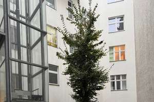 Wohnen nahe Uhlandstraße – Fechnerstr. 25, 10717 Wilmersdorf, Berlin – Vorschaubild 2