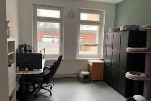 Property thumbnail 13