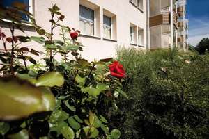 Wohnungsangebot Kirschweg 87 – Kirschweg 87, 39118 Reform, Magdeburg – Vorschaubild 6