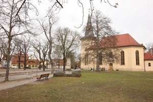 Zwischen Plantagen- und Weberplatz: helle Altbauwohnung- Teilgewerbe – Plantagenplatz/Weberplatz: Wichgrafstraße 11, 14482 Babelsberg Süd, Potsdam – Vorschaubild 16