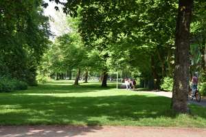 Wohnen. Vermieten. Generationen verbinden : MFH-H mit 4 attraktiven Wohnungen in begehrter Parklage – 33604 Mitte, Bielefeld – Vorschaubild 20