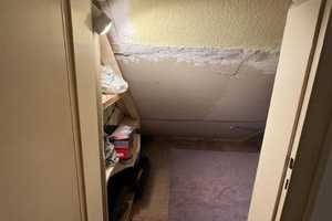 Mitbewohnerin gesucht | Haus mit Garten | Bad Segeberg – Klaus-Groth-Weg 3b, 23795 Segeberg (Kreis) – Vorschaubild 12