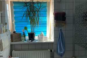 „Alte Schule“ - Ihr Investment mit 5 Wohneinheiten! – Schulweg 5, 6184 Saalekreis – Vorschaubild 12