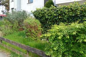 Gartenliebhaber für modernisierte 2-Zimmer-EG-Wohnung mit eigenem Garten gesucht