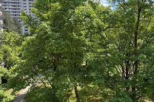 Helles Ein-Zimmer-Appartement mit Balkon  am Isar-Hochufer – Hochstrasse 21 A, 81669 Obere Au, München – Vorschaubild 3