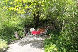 Natur. Ruhe. Möglichkeiten. – Ferienhaus mit Herz und Platz für Ideen (kein Pachtland!!!) – Anhalt-Bitterfeld (Kreis) – Vorschaubild 1