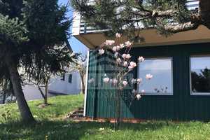 *GESUNDES WOHNEN*
Idyllisch gelegenes 1-2 Familienhaus mit fantastischem Weitblick auf die Albkette – Ostalbkreis – Vorschaubild 5
