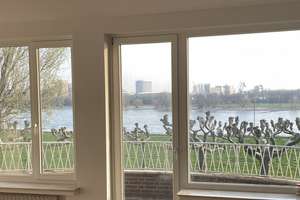 Traumblick auf den Rhein in Oberkassel 