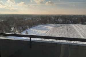München-Solln - Apartment mit sonnigem Balkon, Wellnessbereich und Tierfgaragenstellplatz – Drygalskiallee 118, 81477 Solln, München – Vorschaubild 6