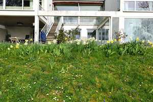 Lichtdurchflutetes Architektenhaus mit Einliegerwohnung und großem Grundstück! – Main-Tauber-Kreis – Vorschaubild 55