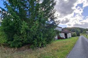 " RESERVIERT " Ländliches Anwesen mit Stallungspotenzial: 2-geschossiges Haus, große Scheune, – Die vollständige Adresse der Immobilie erhältst du vom Anbieter., 35216 Biedenkopf – Vorschaubild 4