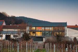 Architekten-Neubauvilla  in Weinbergsrandlage in Neustadt-Hambach – Die vollständige Adresse der Immobilie erhältst du vom Anbieter., 67344 Hambach, Neustadt an der Weinstraße – Vorschaubild 4