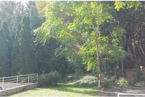 Möblierte 3 Zi. Wohnung direkt am Schloßpark. Befristet. KEINE WG!  – Klausenerplatz 2, 14059 Berlin – Vorschaubild 9