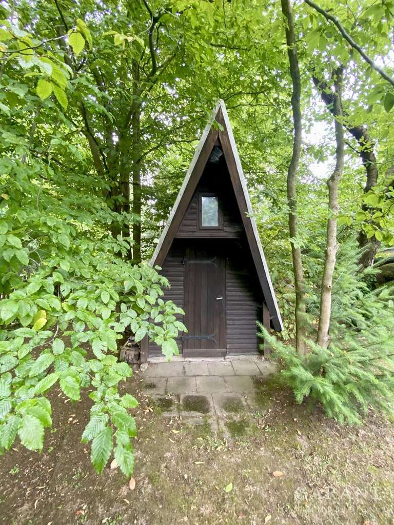 Immobilie in Colditz - Idyllisches Waldgrundstück mit Bungalow und Finnhütte nahe Grimma - Bild 3