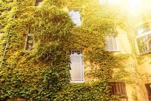 Beletage-Juwel im Gräfekiez: Lichtdurchflutete Altbauwohnung ohne Maklerprovision  – Böckhstr. 27, 10967 Kreuzberg, Berlin – Vorschaubild 14